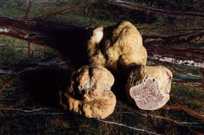 White Truffle Extract For Skin Care & How It Improves Your Skin